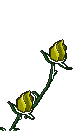 blumen animierte-bilder-gif